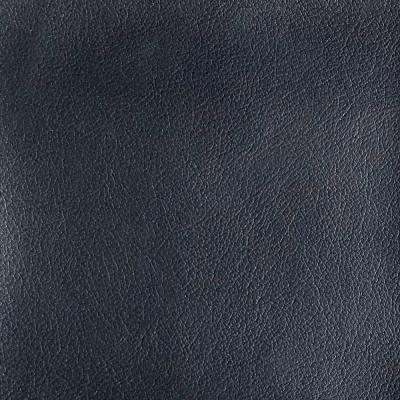 Upholstery Color & Material Example - Black
