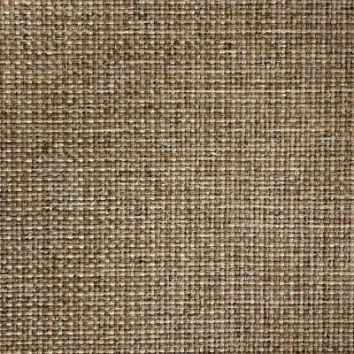 Upholstery Interweave Cloth Example - Brown